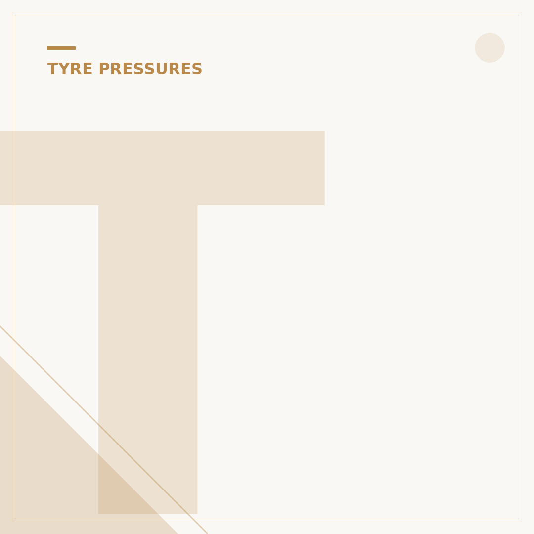 Tyre Pressure Indicator Caps