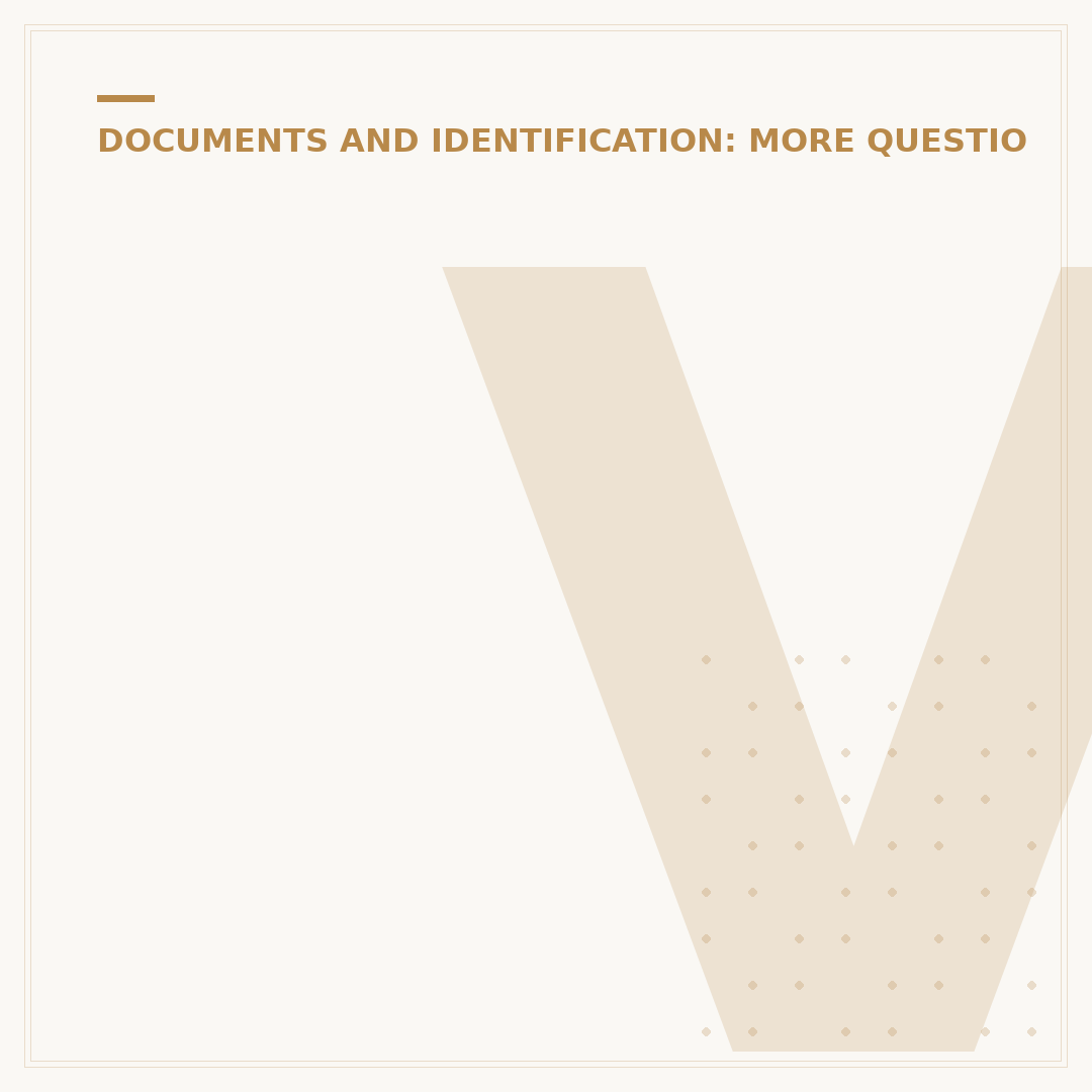 Vehicle Identification Number (VIN) Explained
