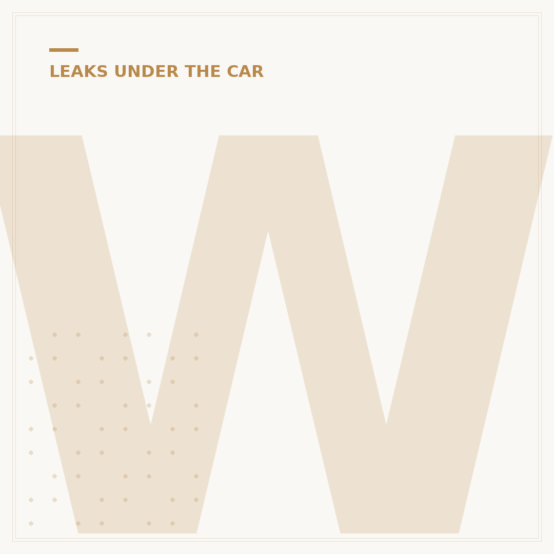 Water Leak Under Car: Causes and What to Check
