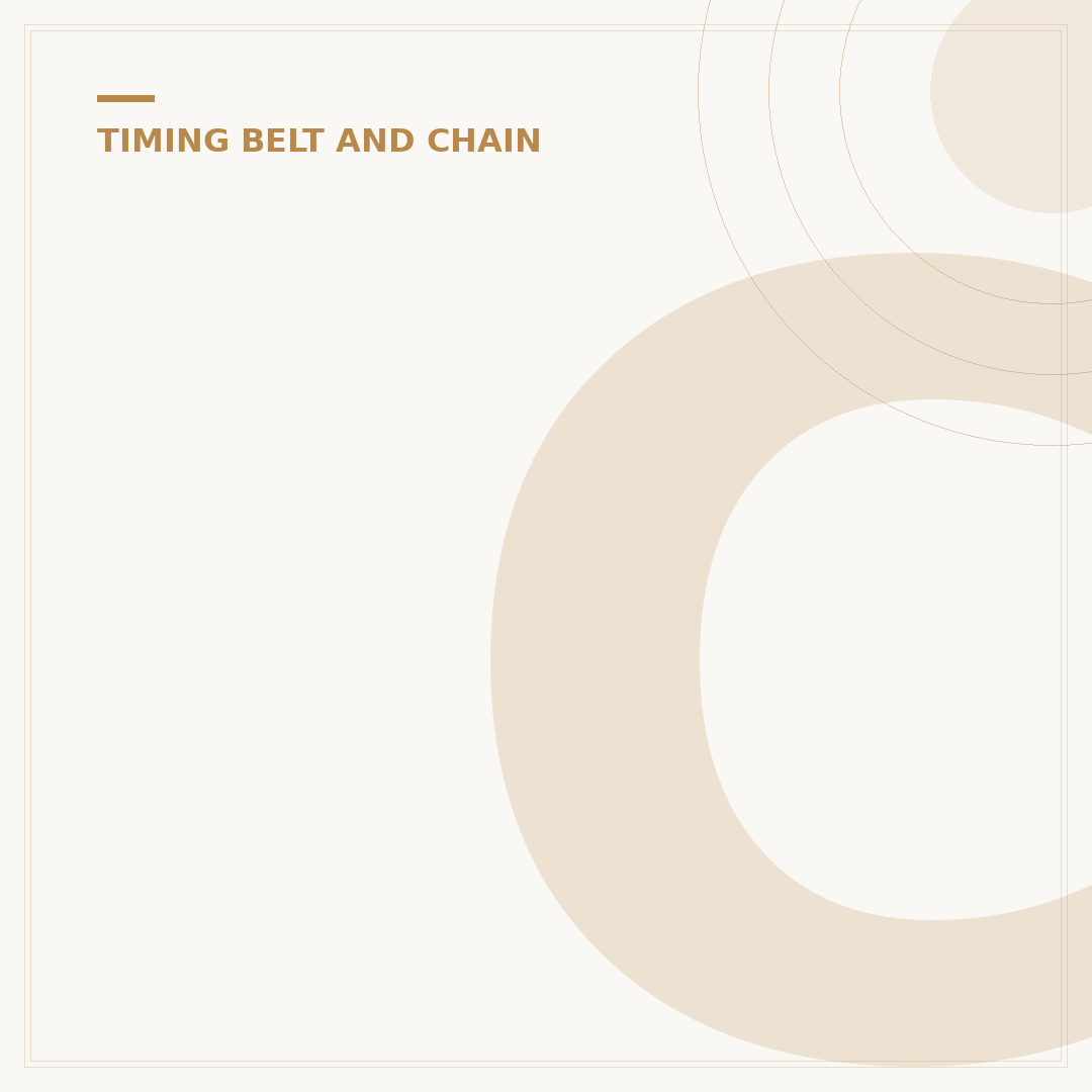Common Wet Belt Problems and How to Spot Them