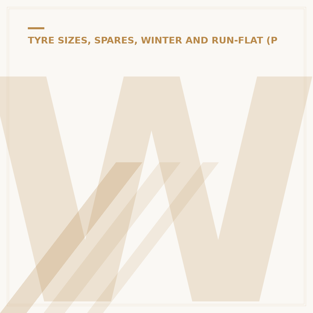 Winter Tyres in France: Do You Need Them?