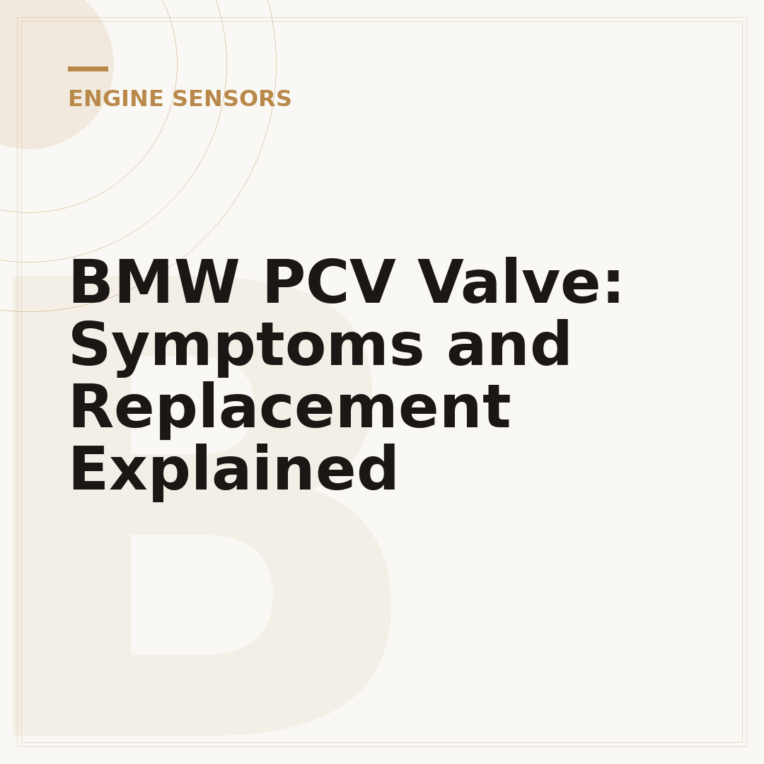 BMW PCV Valve: Symptoms and Replacement Explained