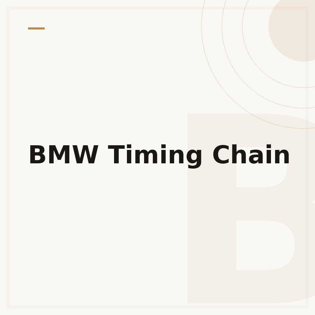 BMW Timing Chain