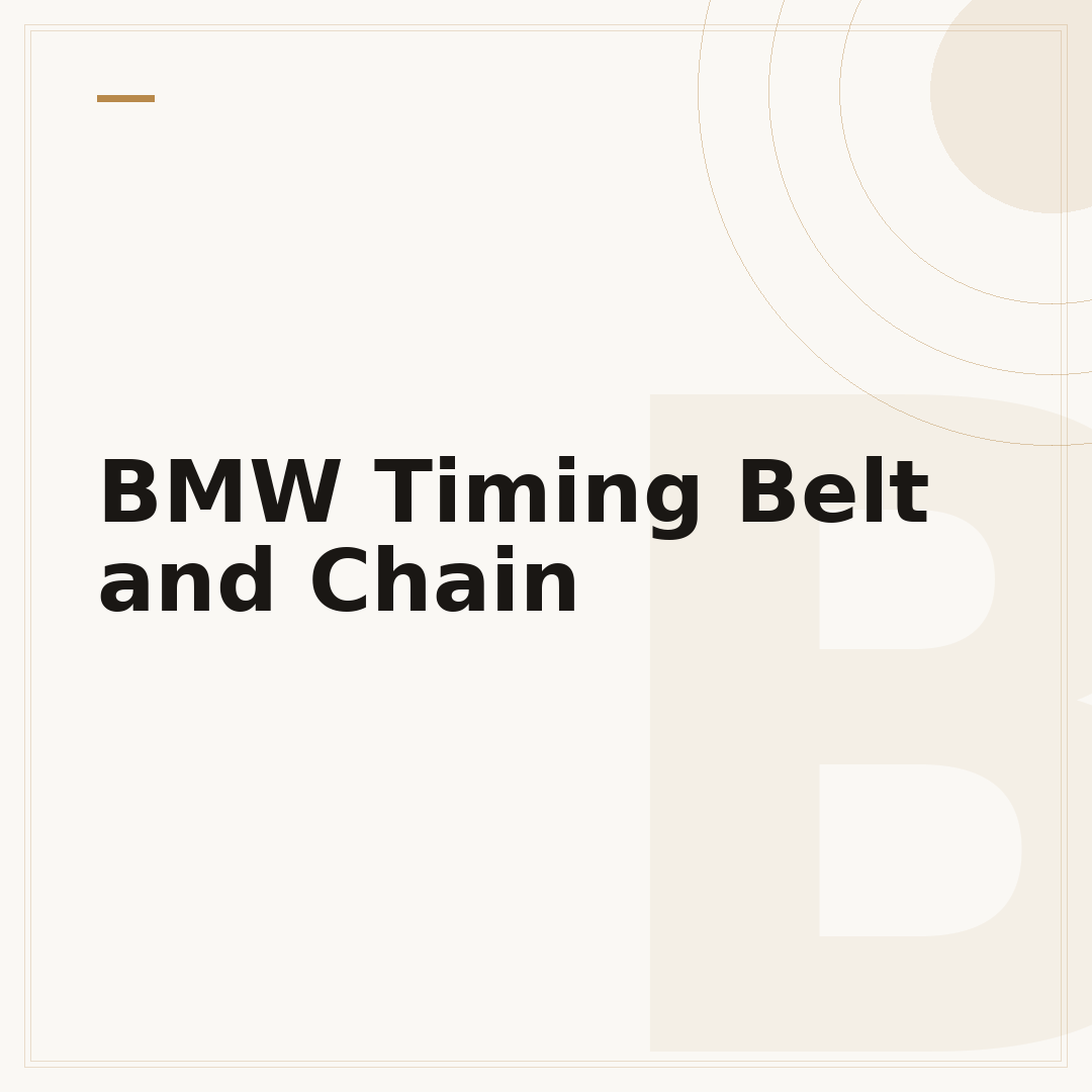 BMW Timing Belt and Chain