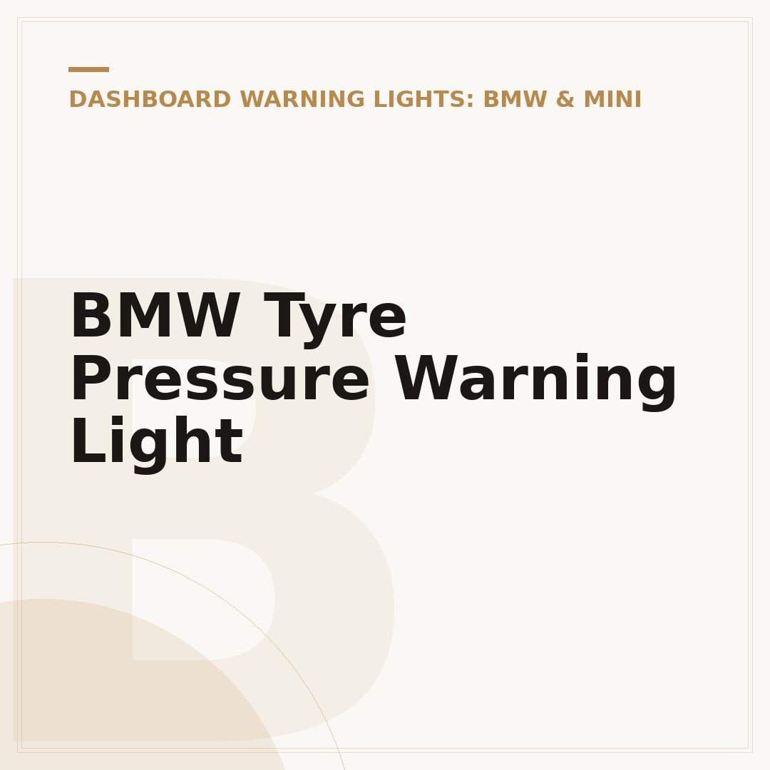 BMW Tyre Pressure Warning Light