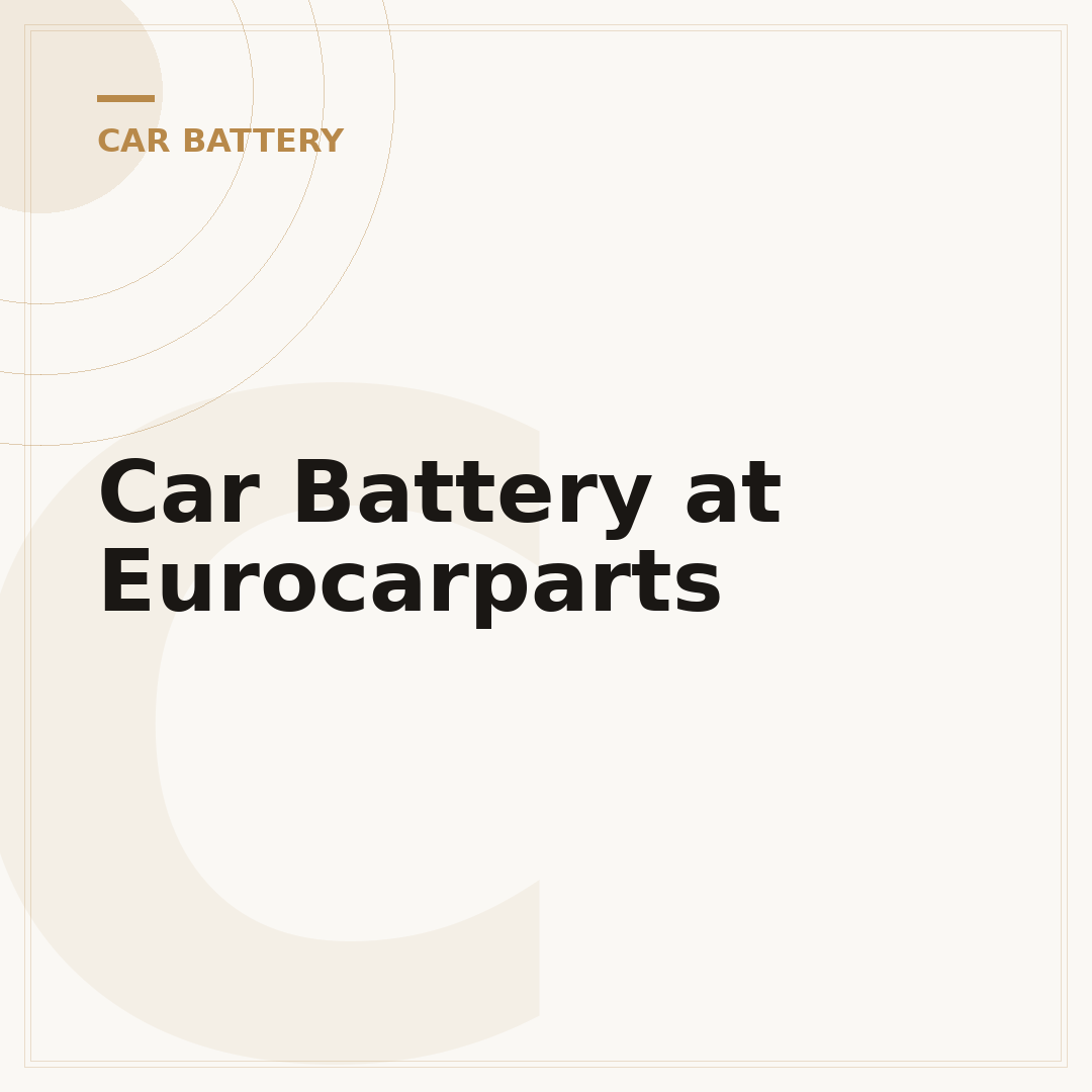 Car Battery at Eurocarparts