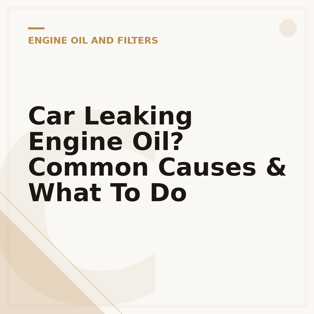 Car Leaking Engine Oil? Common Causes & What To Do