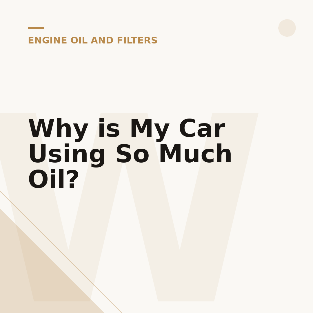 Why is My Car Using So Much Oil?