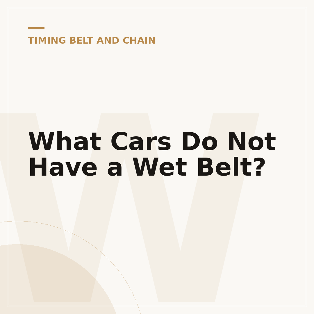 What Cars Do Not Have a Wet Belt?