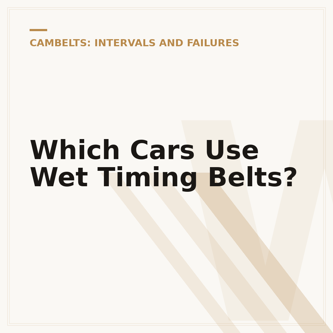 Which Cars Use Wet Timing Belts?