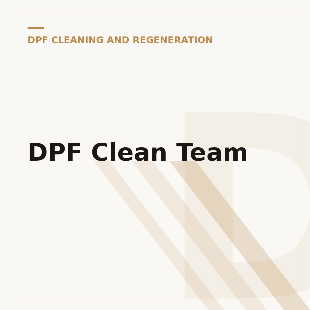 DPF Clean Team