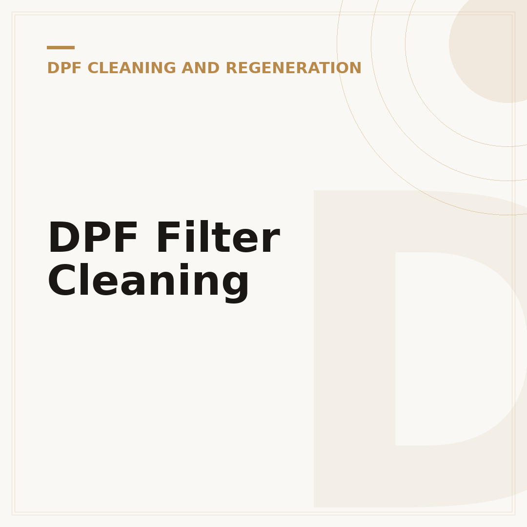 DPF Filter Cleaning