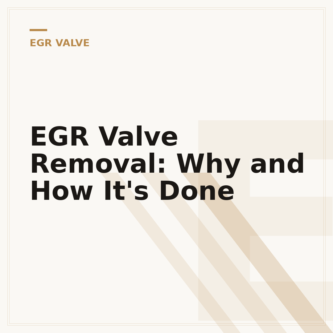 EGR Valve Removal: Why and How It's Done