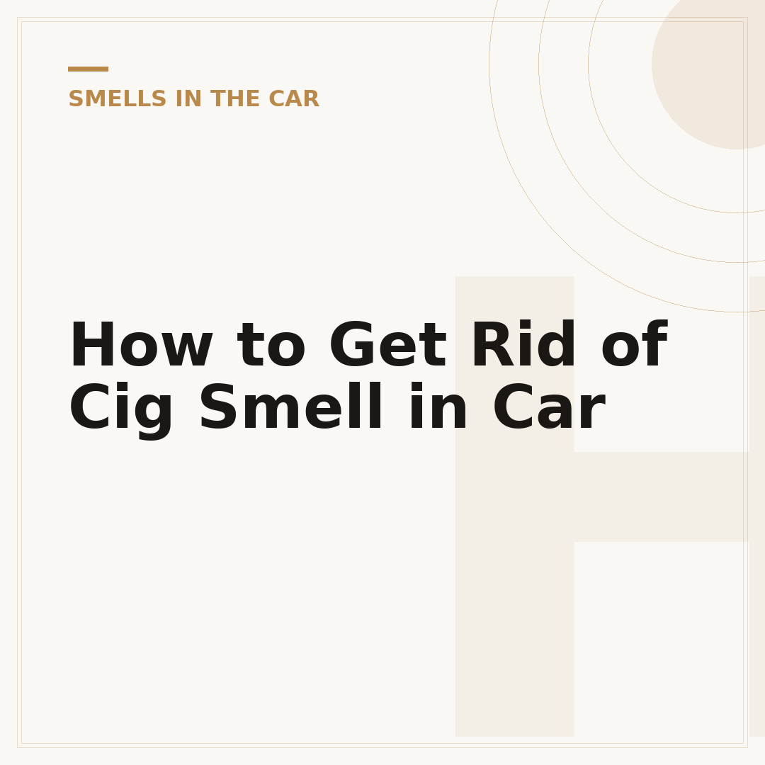 How to Get Rid of Cig Smell in Car