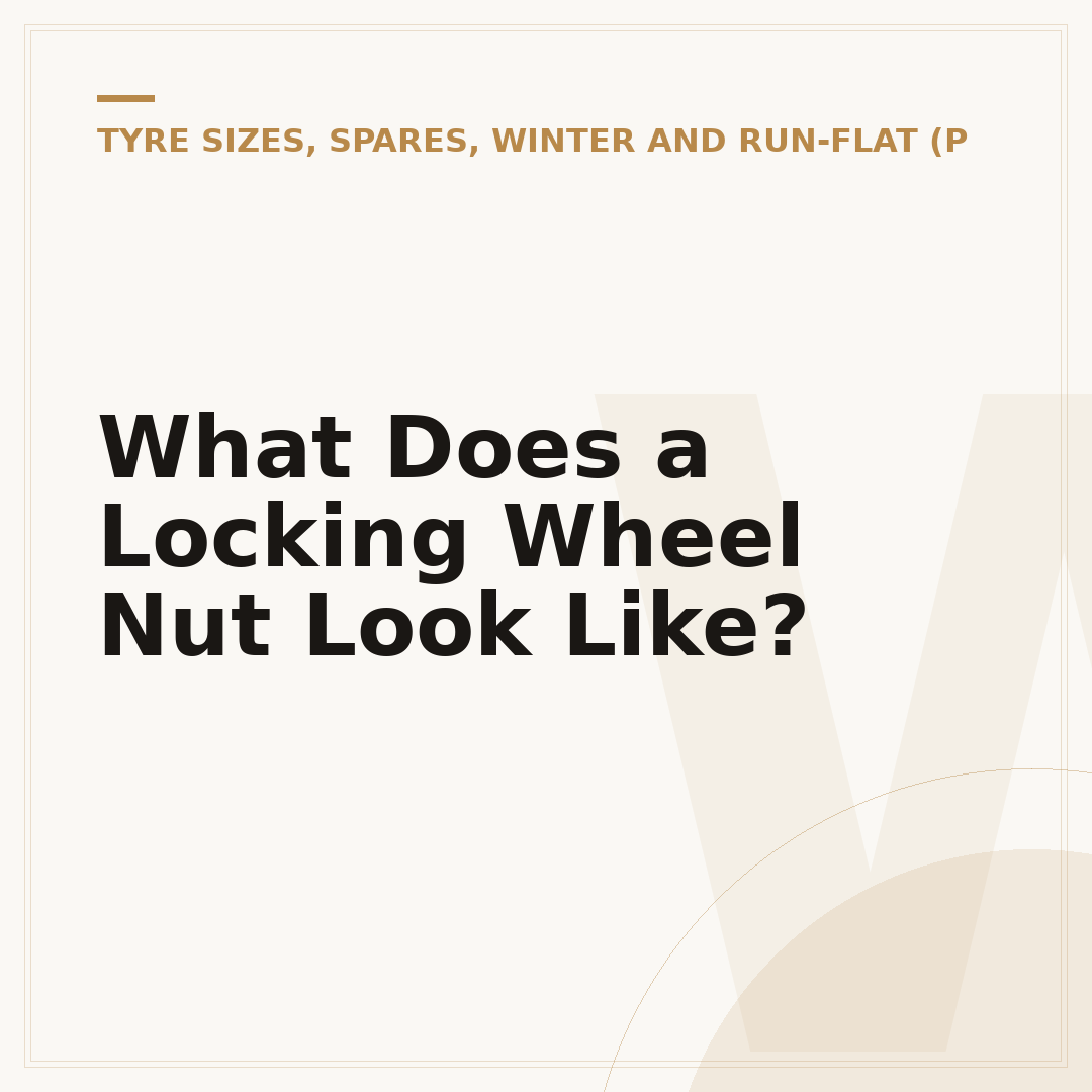 What Does a Locking Wheel Nut Look Like?