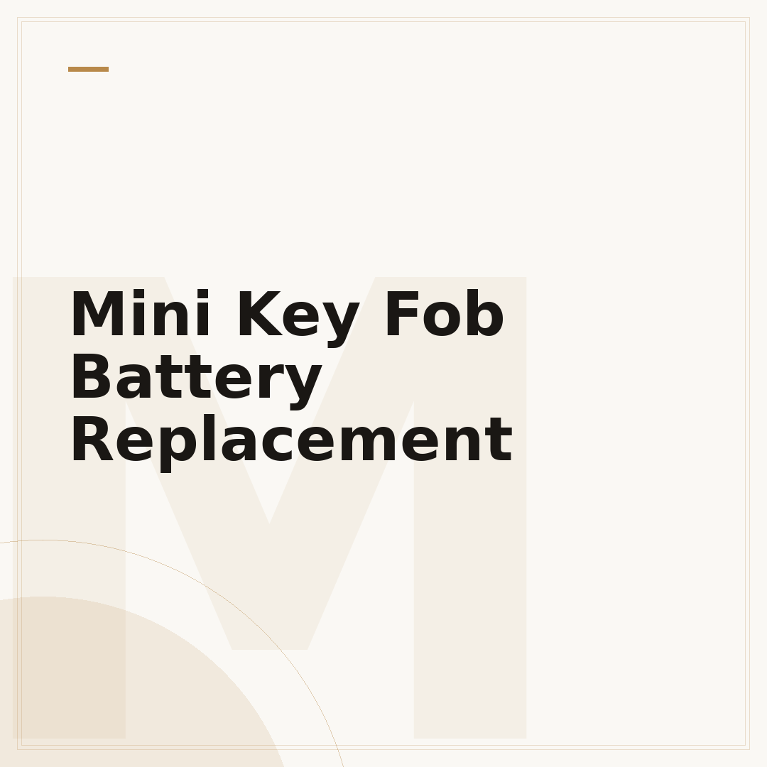 Mini Key Fob Battery Replacement