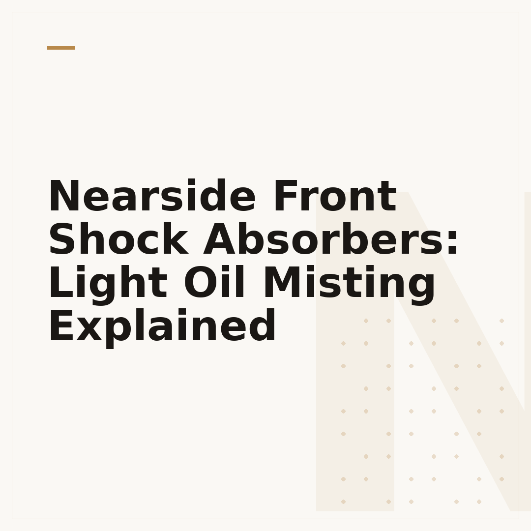 Nearside Front Shock Absorbers: Light Oil Misting Explained
