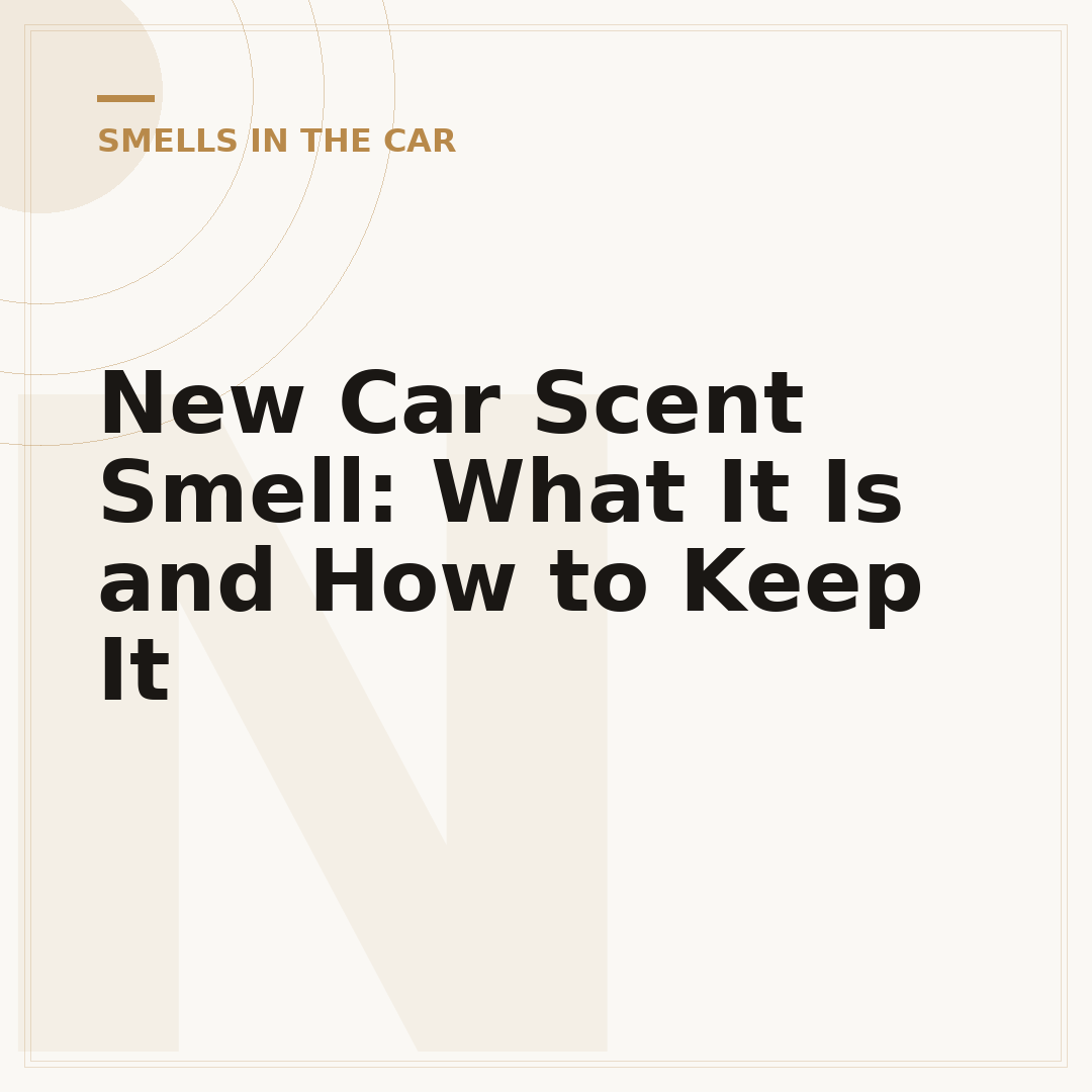 New Car Scent Smell: What It Is and How to Keep It