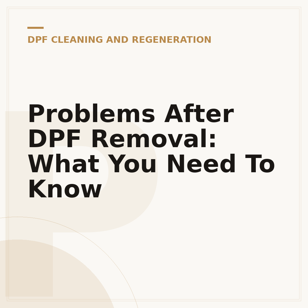 Problems After DPF Removal: What You Need To Know