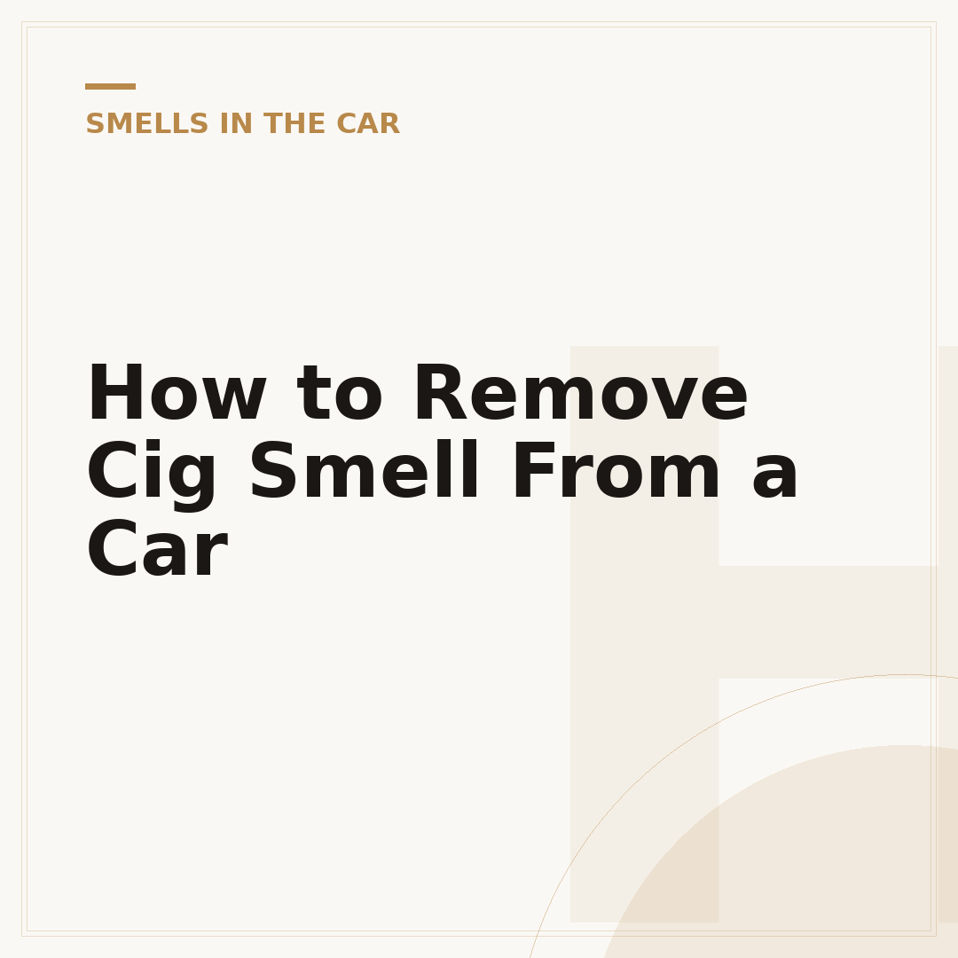 How to Remove Cig Smell From a Car