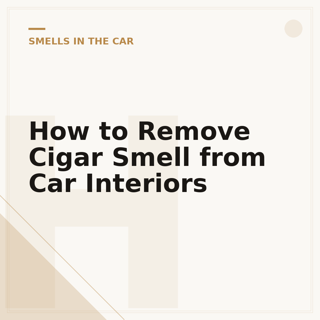 How to Remove Cigar Smell from Car Interiors
