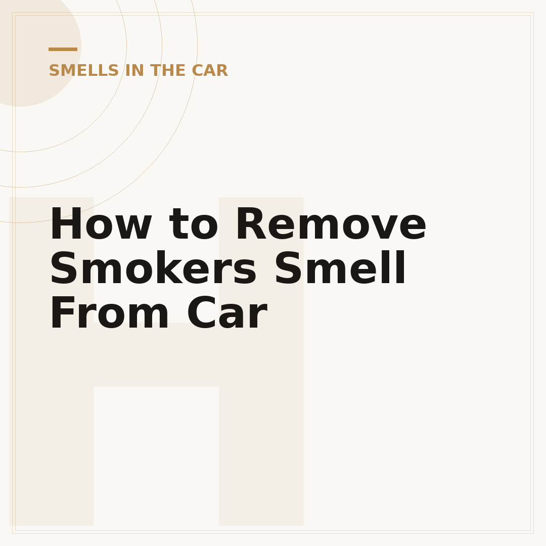 How to Remove Smokers Smell From Car