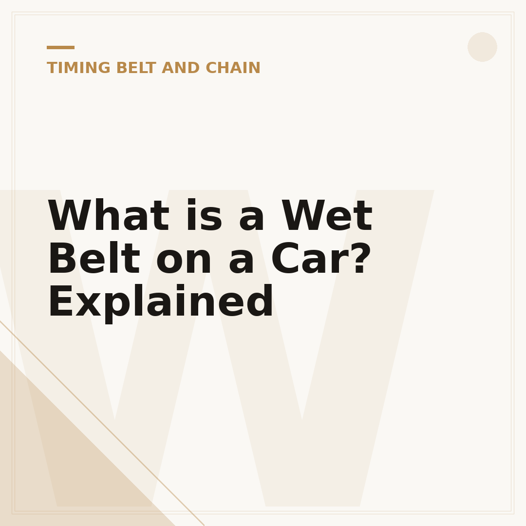 What is a Wet Belt on a Car? Explained