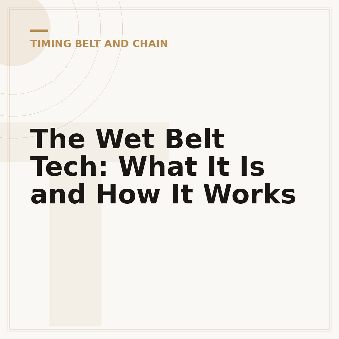 The Wet Belt Tech: What It Is and How It Works