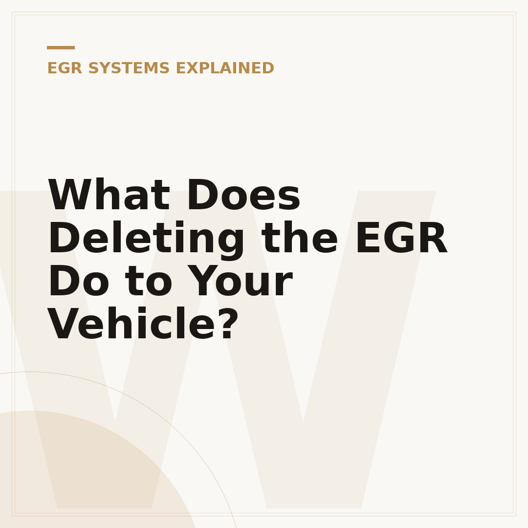 What Does Deleting the EGR Do to Your Vehicle?